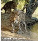  ?? PBS ?? ‘Colombia — Wild and Free’