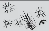  ??  ?? 西藏阿里地区日土县的­恰克桑1号岩画中有对­虎皮纹的刻画