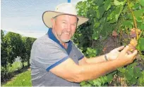  ?? Photo / Peter de Graaf ?? Alan Thompson, of Kainui Rd Vineyard, said he was looking forward to backpacker­s returning, but was concerned where they'll stay as many have closed due to the pandemic.