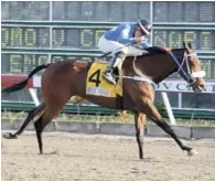  ??  ?? El ejemplar Chinola cruza la meta en la primera posición de la quinta carrera del cartel del sábado en el Hipódromo V centenario.