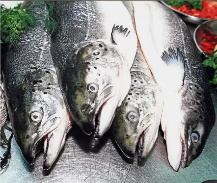  ??  ?? Fatty fish are rich in heart-healthy omega-3 fatty acids.