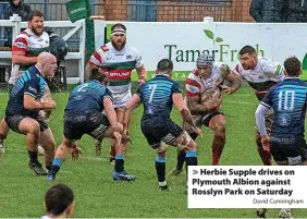  ?? David Cunningham ?? Herbie Supple drives on Plymouth Albion against Rosslyn Park on Saturday