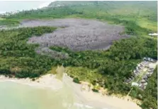  ?? MARVIN DEL CID ?? Manglar muerto entre playa El Limón y El Estillero, el 20 de diciembre de 2023.