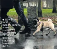  ??  ?? New rules for dog owners have already yielded £9,000 from 273 fines imposed since they began in 2017