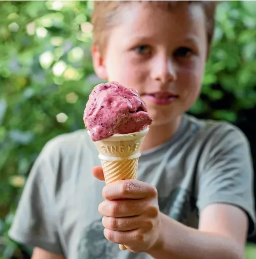  ??  ?? The kids will go crazy for homemade real fruit ‘‘soft serve’’ icecream.