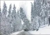  ?? REUTERS ?? Workers bring down a snow-covered tree on a highway near Altenberg, Germany, on Friday. Heavy snowfall has brought chaos to various parts of Europe over the week.