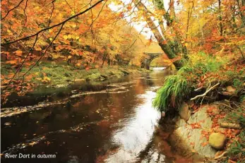  ??  ?? River Dart in autumn