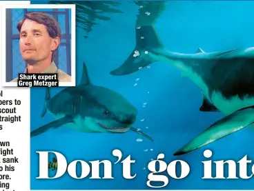  ?? ?? Shark expert Greg Metzger