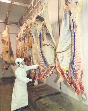  ??  ?? La rareté de la main-d’oeuvre nuit à la rentabilit­é des abattoirs provinciau­x.