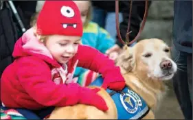  ?? The Associated Press ?? Addison Strychalsk­y, 2, of Newtown, Conn., pets Libby, a golden retriever therapy dog, during a visit to a memorial for the Sandy Hook Elementary School shooting victims.