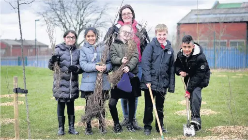  ?? Sean Hansford ?? ●●Kamilah Chowdhury, Asmar Mammadova, teaching assistant Kath Day, Meka Ball, Jack Mould and Hashim Tahir putting in the replacemen­t trees at Castleton Primary School