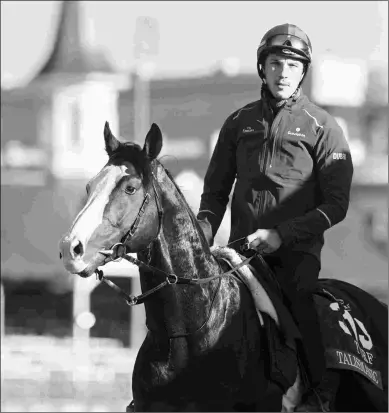  ?? BARBARA D. LIVINGSTON ?? Last year’s Breeders’ Cup Turf winner Talismanic cleared quarantine in time to train Monday morning at Churchill Downs along with a number of other overseas shippers.