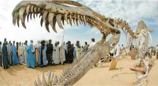  ?? MIKE HETTWER ?? A skeleton of the dinosaur Suchomimus is displayed during a ceremony at the La Flamme de la Paix (Flame of Peace), a monument at a remote desert locale outside the city of Agadez in Niger.