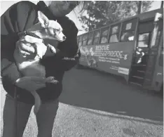  ??  ?? A dog is carried to a bus that will take scores of pets from Southern California to the Pacific Northwest. Such transports are a growing factor in a decline in euthanasia at US shelters.