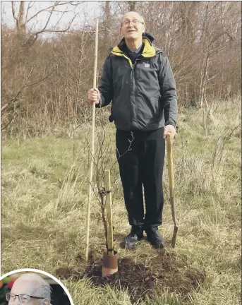  ??  ?? LASTING LEGACY Tree warden Jon Snow with the Golden beech tree planted in memory of Captain Sir Tom Moore, left. Below, activist Activist Paula Ann Savage who came up with the idea