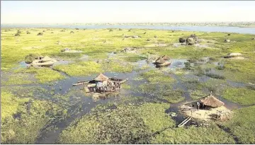  ??  ?? A village in the swamps of ‘the Sud’ in South Sudan.