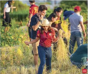  ??  ?? 05
Staff and students participat­ing in the harvest of the rooftop crops at Puey Learning Center at Thammasat University in Rangsit by Landproces­s. Photo: Panoramic Studio and Landproces­s