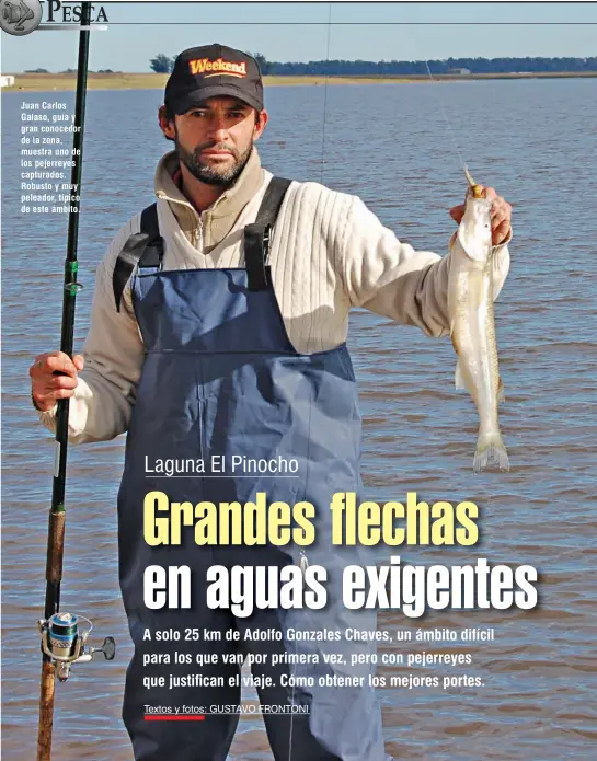  ??  ?? Juan Carlos Galaso, guía y gran conocedor de la zona, muestra uno de los pejerreyes capturados. Robusto y muy peleador, típico de este ámbito.