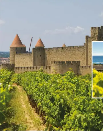  ?? ?? The vineyards of Languedoc-Roussillon touch the walls of the Roman citadel of Carcassonn­e and reach almost to the sea around the Gulf of Lions.