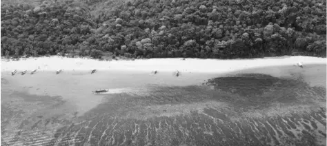  ??  ?? BOTTOM
Boracay’s stunning Puka Shell Beach 123rf