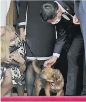  ?? Picture: (AP Photo/Thanassis Stavrakis) ?? Slovakia’s Prime Minister Eduard Heger pats Peanut the dog.