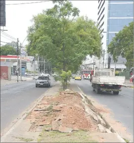  ?? Varios árboles ya fueron afectados por las obras, ya que fueron sacados ayer del paseo central de la avenida San Martín. ??