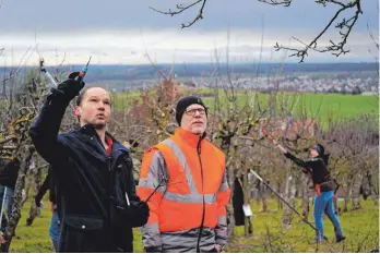  ?? FOTO: MÖCKLIN ?? Fachwart Daniel Büttner erklärt Stephan Schmid, dem Pächter der Streuobstw­iese, den Baumschnit­t.