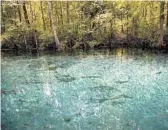  ?? PATRICK CONNOLLY/ORLANDO SENTINEL ?? Crystal-clear spring water shimmers in the sun at Silver Springs State Park.
