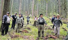  ??  ?? La Secretaría de Medio Ambiente capitalina asegura que la reforestac­ión de llevará a cabo tanto en suelo urbano como de conservaci­ón.