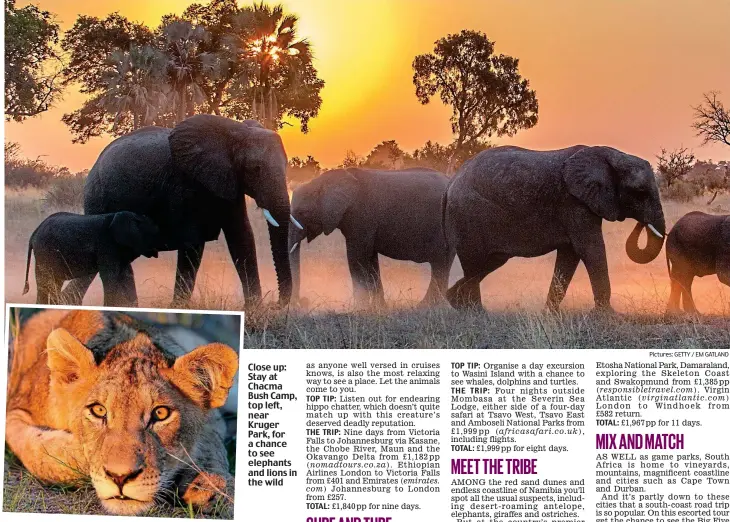  ?? Pictures: GETTY / EM GATLAND ?? Close up: Stay at Chacma Bush Camp, top left, near Kruger Park, for a chance to see elephants and lions in the wild