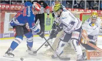  ?? FOTO: DIETER REINHARDT ?? Die Schwenning­er Wild Wings (Simon Danner/links) sorgten für Hochbetrie­b vor dem Tor der Iserlohn Roosters und gewannen 5:3.