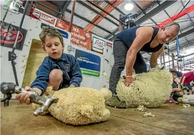  ?? PHOTOS: JOHN KIRK-ANDERSON/ STUFF ?? Danilo Maksimovic­h, 6, from St Albans School, shears a toy sheep under the guidance of shearer James Dwyer at the Canterbury A&P Show yesterday.