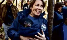  ?? ?? Governor Maura Healey volunteers to keep one of the cubs warm as measuremen­ts are taken and before the cubs (bottom right) are placed back into their den.