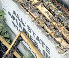  ?? SCOTT SMITH/THE ASSOCIATED PRESS ?? Several of the thousands of recovered beehives stolen in California are shown near Sanger, Calif. The bee industry is buzzing over the arrest of a man accused stealing nearly $1 million in hives from California’s almond orchards in one of the biggest...