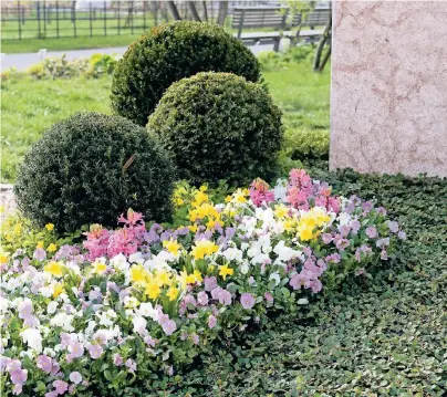  ?? FOTOS (3): MARGIT WILD ?? Im Frühjahr bieten die Friedhofsg­ärtner eine besonders große Auswahl an bunten Pflanzen an.