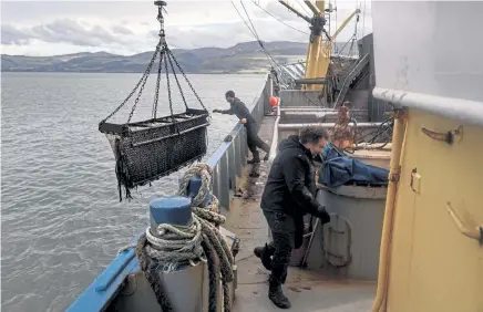  ?? Mary Turner, © The New York Times Co. ?? Crewmember­s bring a net filled with mussels up from the seabed off the coast of Bangor, Wales, on Feb. 4. With the United Kingdom out of the European Union, companies that trade with the continent are contending with expensive disruption­s to their businesses.