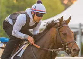  ?? JERRY JACKSON/BALTIMORE SUN ?? Preakness entry Early Voting runs on the Pimlico track Friday morning. Trainer Chad Brown and owner Seth Klarman return to Pimlico Race Course with a colt that shares similariti­es with 2017 Preakness champion Cloud Computing.