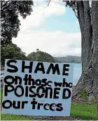  ??  ?? Po¯ hutukawa have also been poisoned at Opito Bay, with a resident putting up a protest sign.