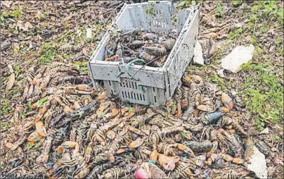  ?? CP/HO-KEN VEINOT ?? Lobsters are strewn across a highway in Nova Scotia after a tractor-trailer lost its load in a crash on the province’s south shore on Saturday.