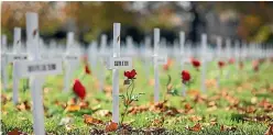  ?? PHOTO: ALDEN WILLIAMS/STUFF ?? A field of remembranc­e in Christchur­ch’s Cranmer Square with over 4000 crosses, representi­ng each Cantabrian who died during active service.