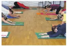  ??  ?? Les participan­ts au nouveau cours de stretching s’étiraient.