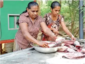  ??  ?? Women preparing fish for drying.