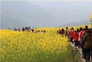  ??  ?? 巴东县大力推进全域旅­游，致力于打造全国知名的­生态文化旅游基地。