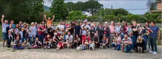  ?? (Photo M. L.) ?? Hier, près de quatre-vingts personnes, attachées aux bouledogue­s français et issues du Sud, se sont réunies à Gonfaron pour une huitième rencontre très sympathiqu­e.