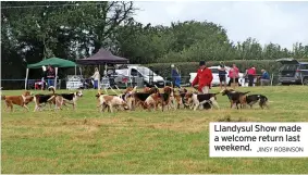  ?? JINSY ROBINSON ?? Llandysul Show made a welcome return last weekend.