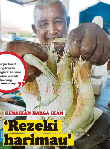  ??  ?? MAT Yatim menunjukka­n udang kertas atau digelar si merah putih yang mencecah RM80 sekilogram berbanding hanya RM40 sekilogram sebelum ini.