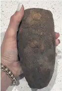  ??  ?? SPUD MISSILE Grenade dug up by pet