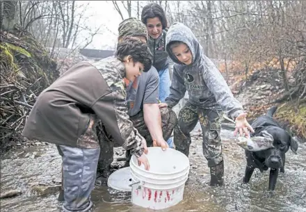  ?? Antonella Crescimben­i/Post-Gazette ?? Sam Weaver, right, 7, throws a trout into the stream while his brother, Marc Weaver, 5, helps their dad Sam Weaver hold the bucket while their mom Lesley Weaver, all from Gibsonia, watches in the stocking of Pine Creek last week in advance of Mentored...