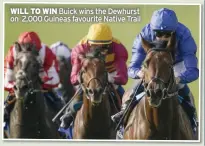  ?? ?? WILL TO WIN Buick wins the Dewhurst on 2,000 Guineas favourite Native Trail