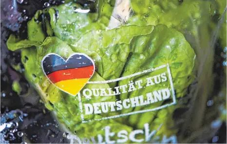  ?? FOTOS (2): DPA ?? Abgepackte­r Salat spart Arbeit. Die Plastiktüt­en sind allerdings auch ein hervorrage­nder Nährboden für Keime.